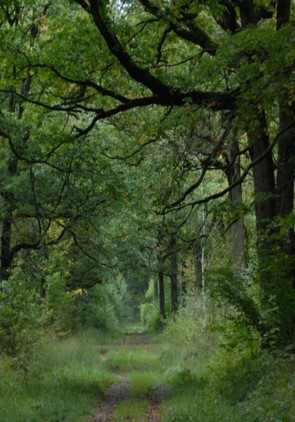 Retraite d'écriture