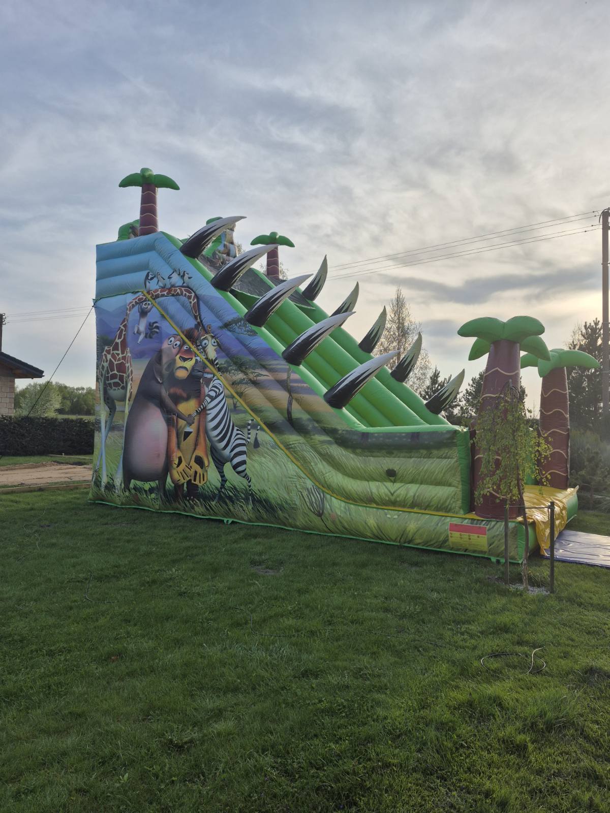 Batutas "Madagaskaras" 