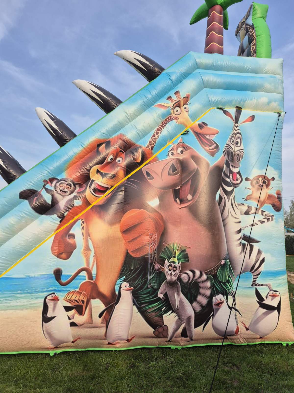 Batutas "Madagaskaras" 