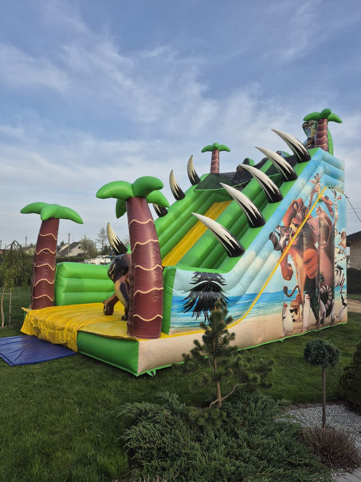 Batutas "Madagaskaras" 