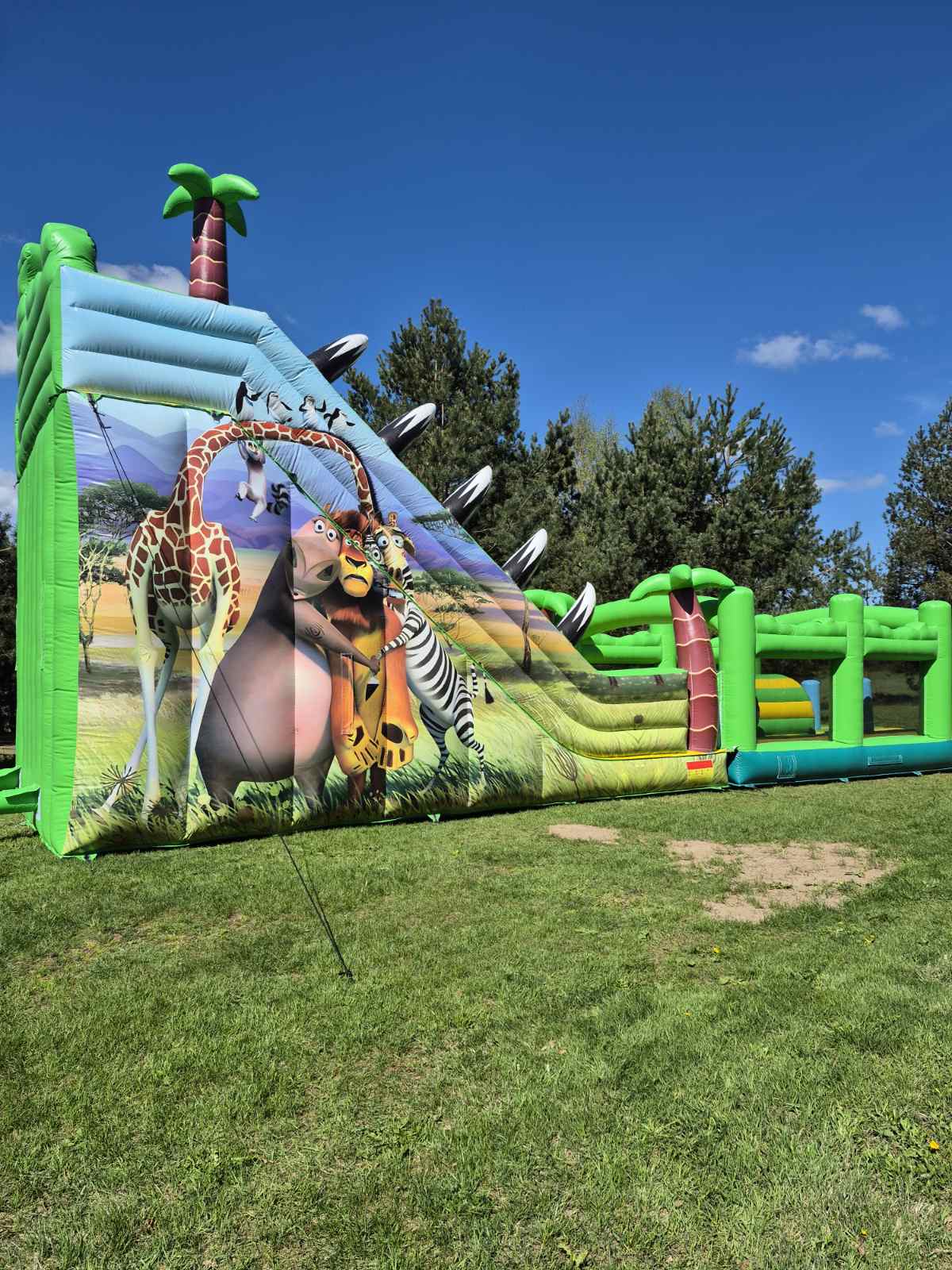 Batutas "Madagaskaras + kliūtys"