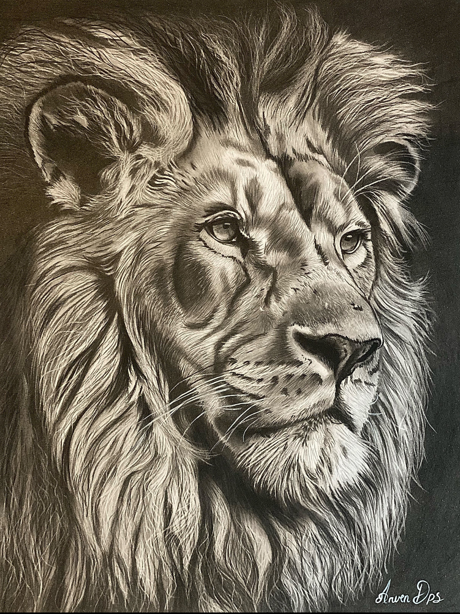 Copie d'Art "Ataraxie"