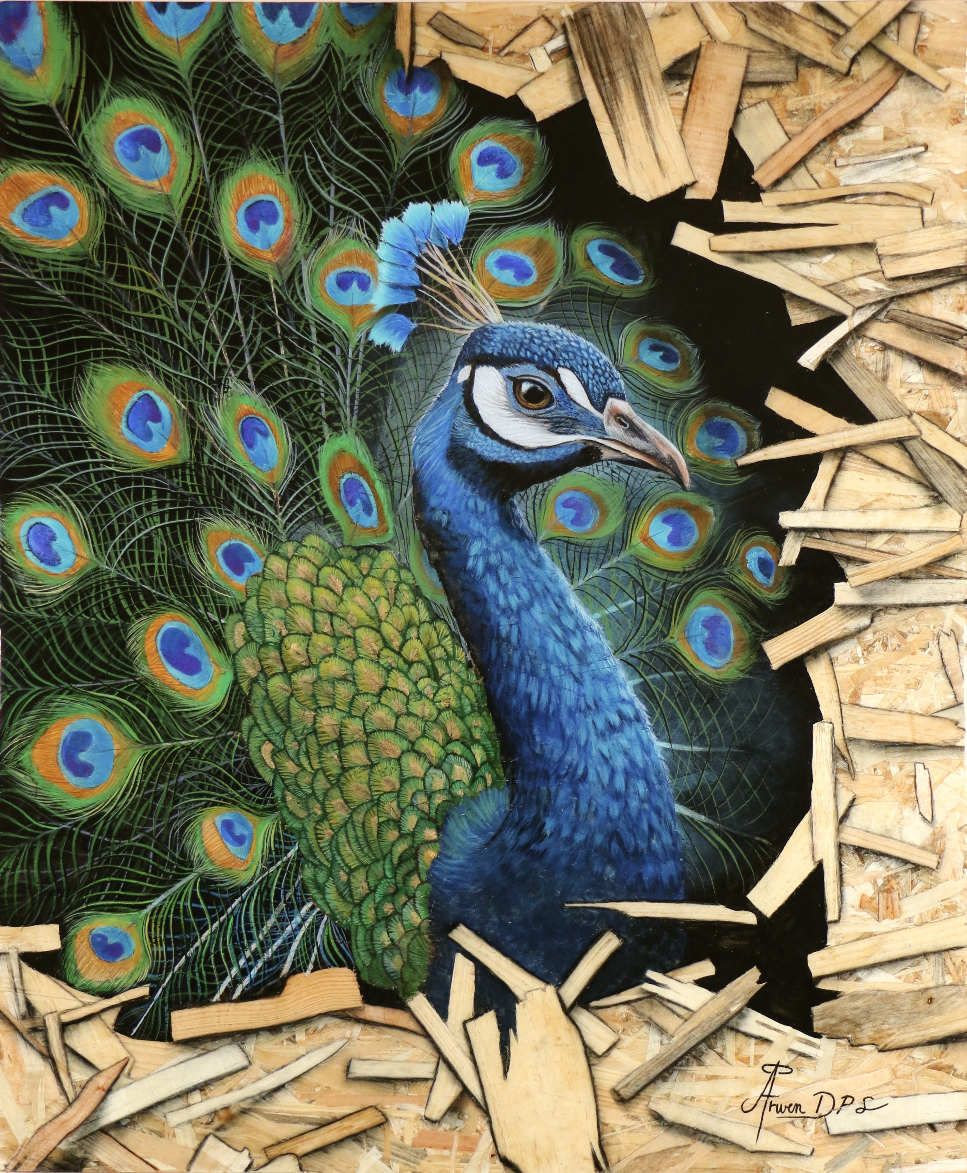 Tirage d'art "Vâhana"