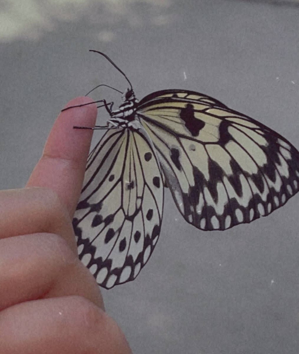 Akashic Records Reading