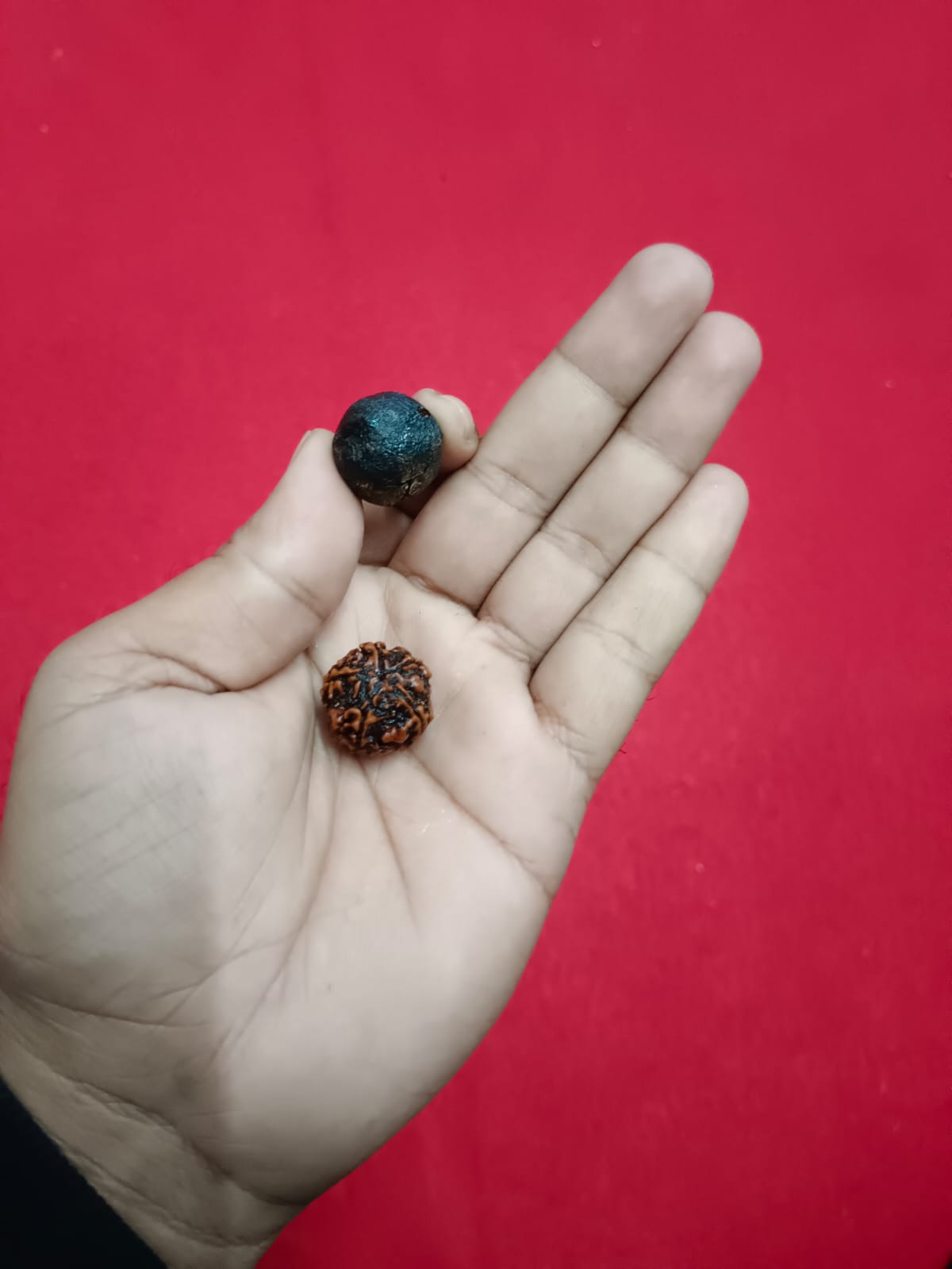 Rudraksha