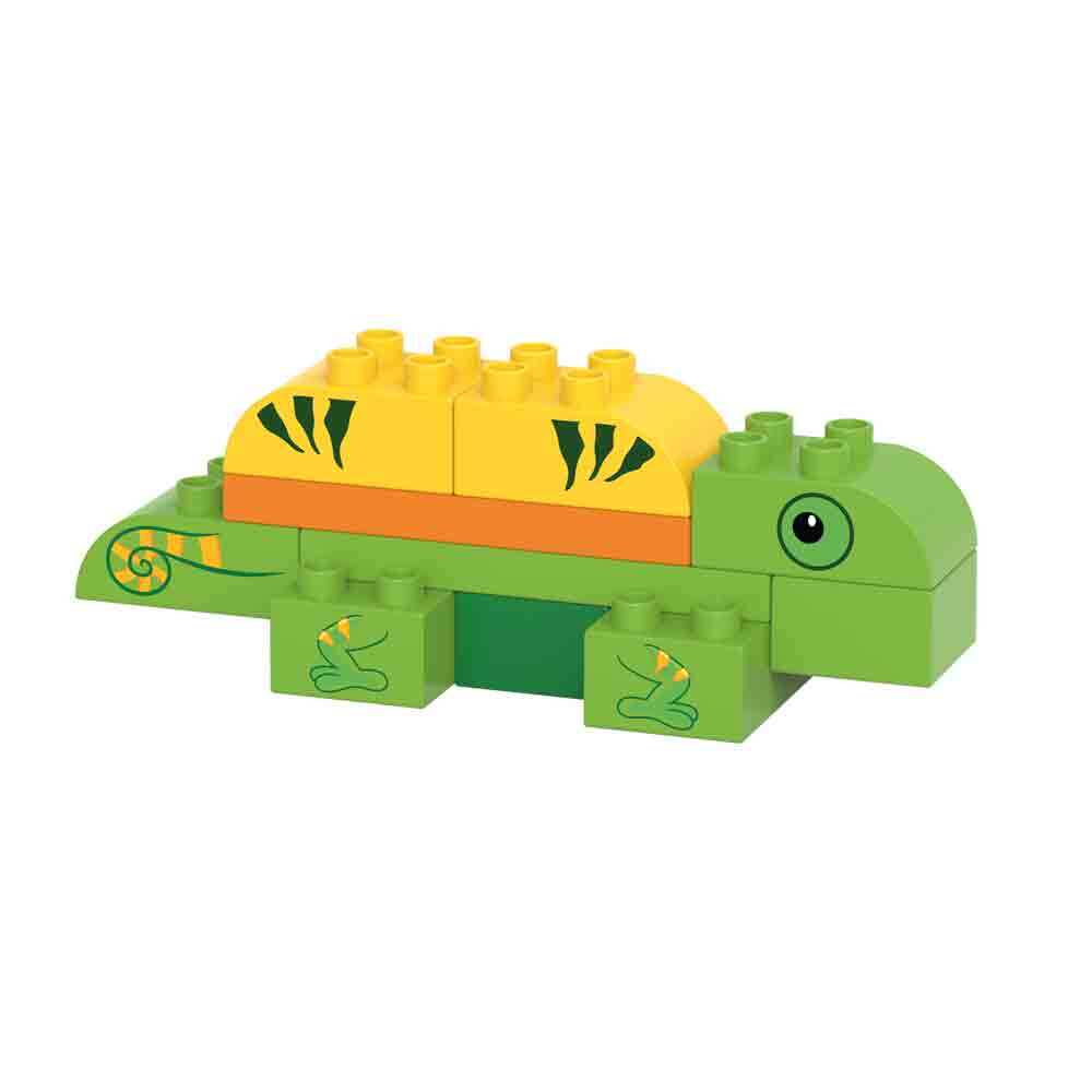 ,,Animal Planet“ - chameleonas - BiOBUDDi