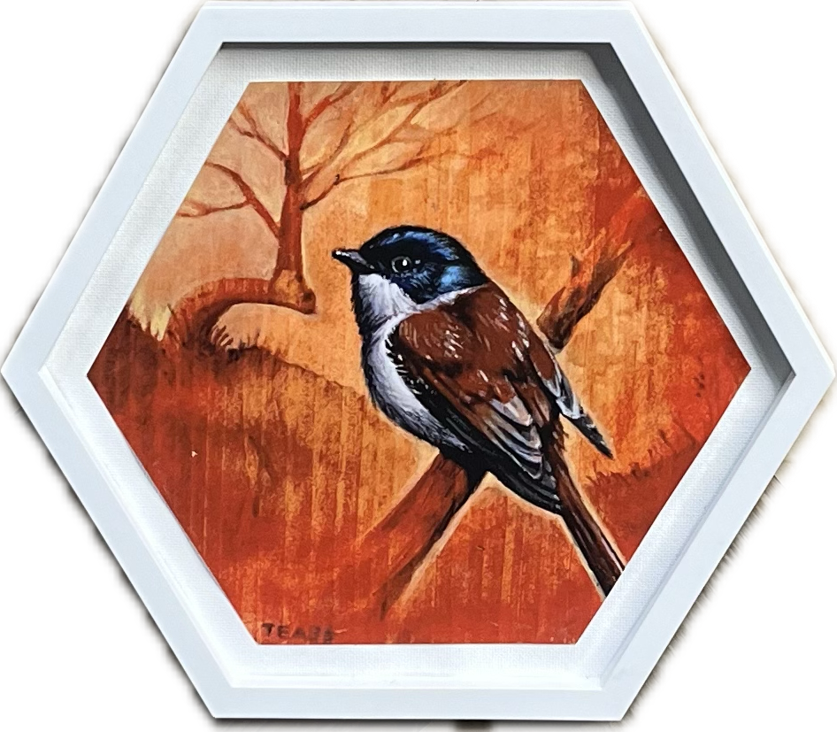 A Bird for Cam Limited Print in Frame