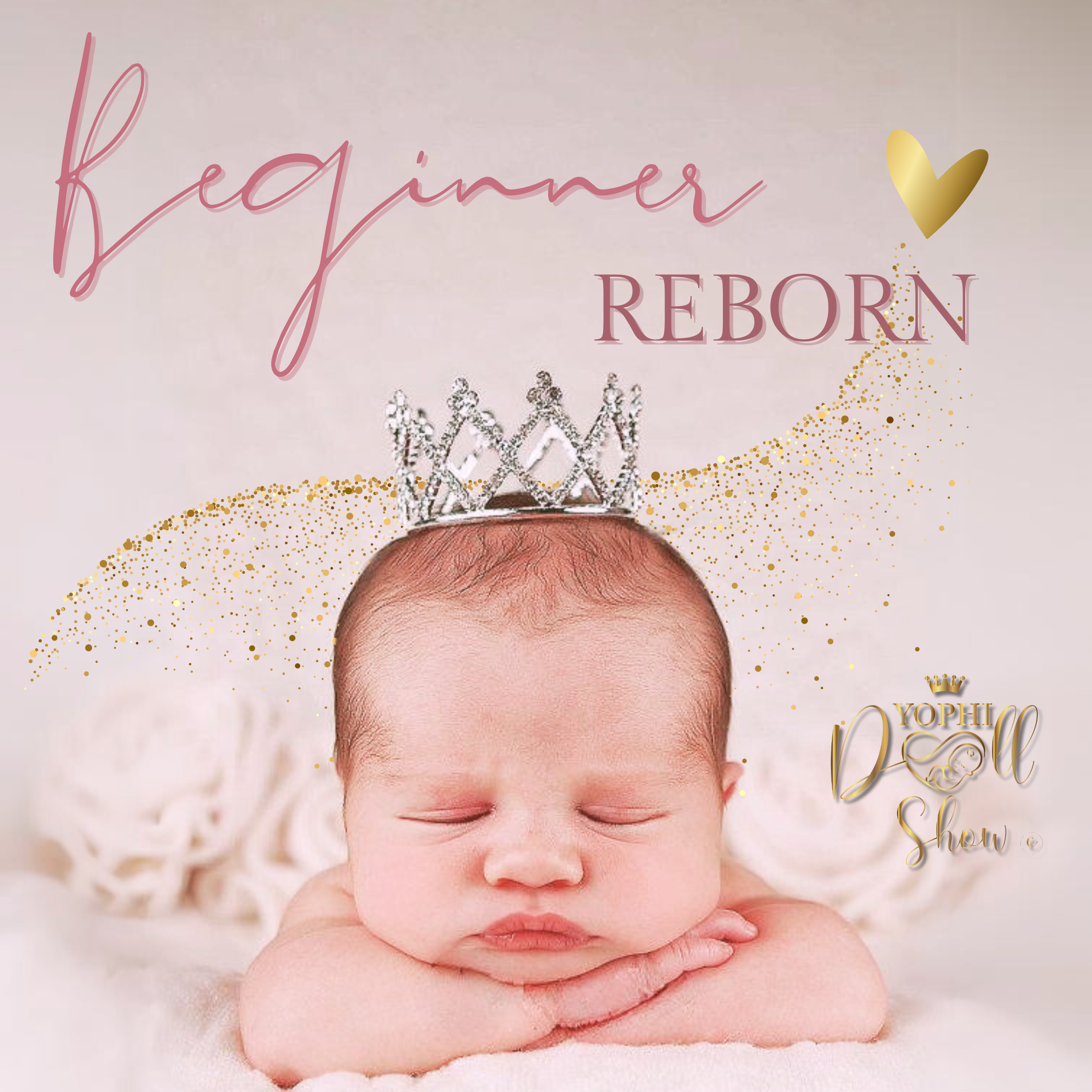 Beginner Reborn 