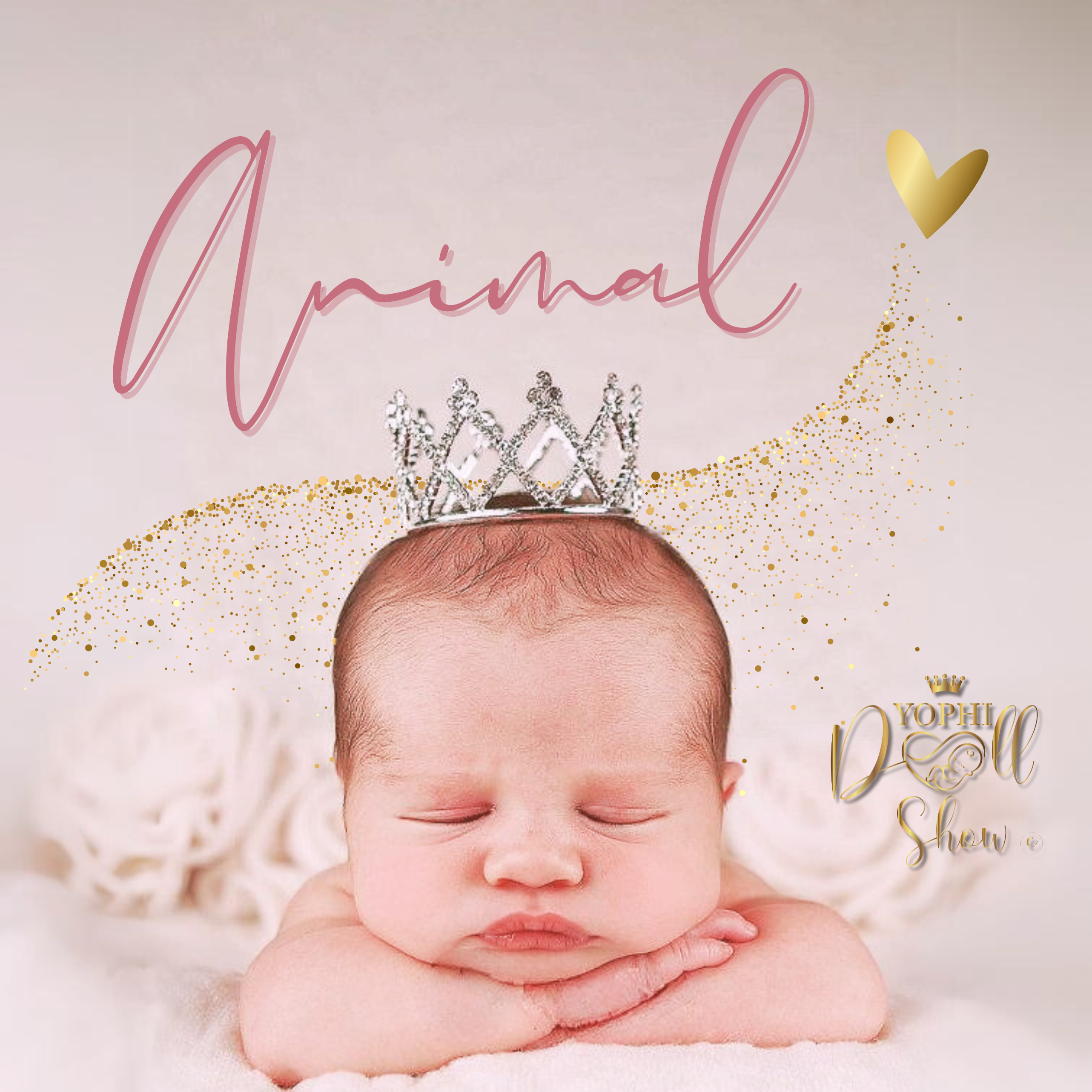 Animal