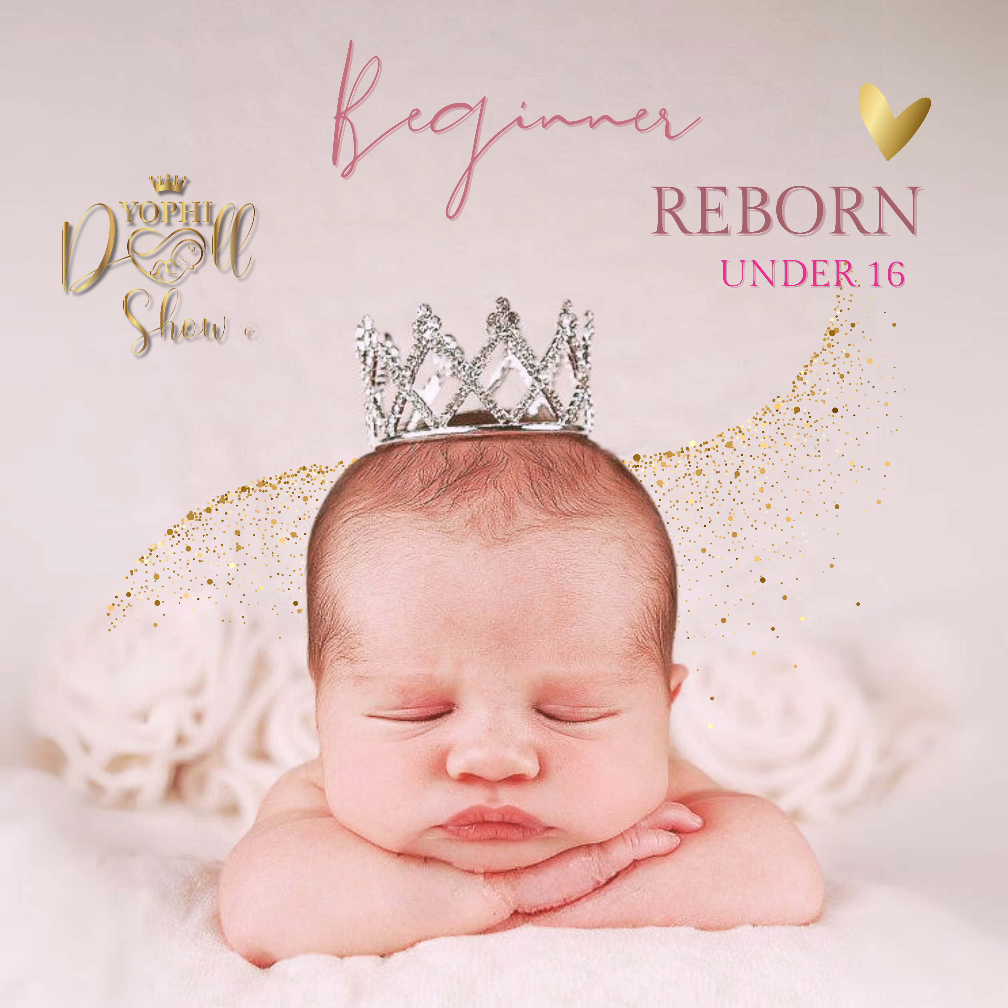 Beginner Reborn 16 and Under 