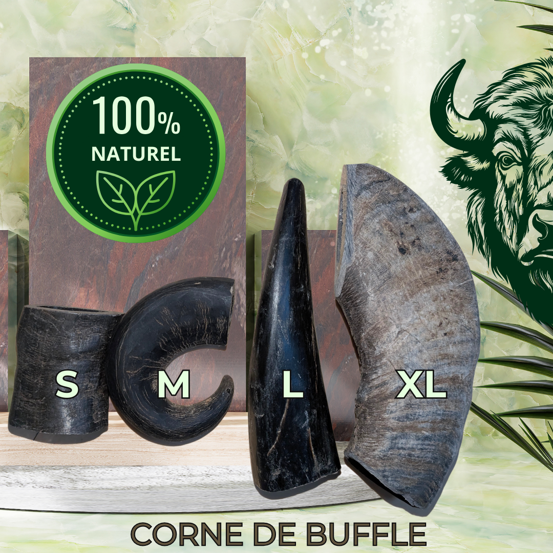 CORNE DE BUFFLE