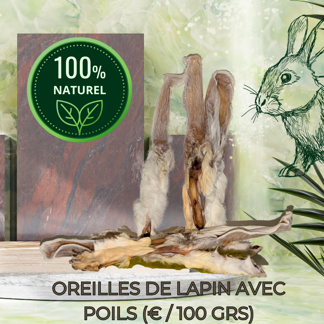 OREILLES DE LAPINS