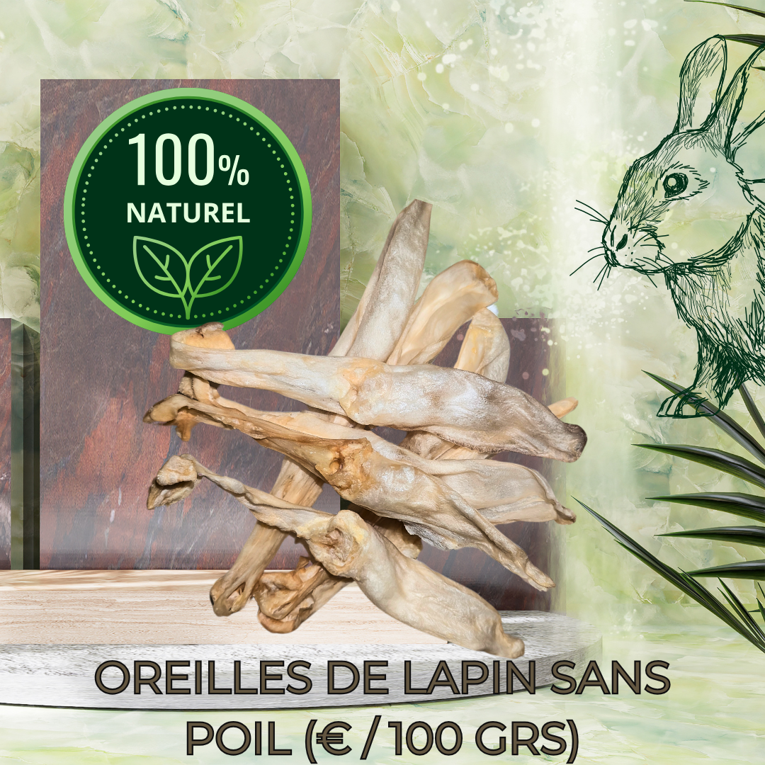 OREILLES DE LAPINS