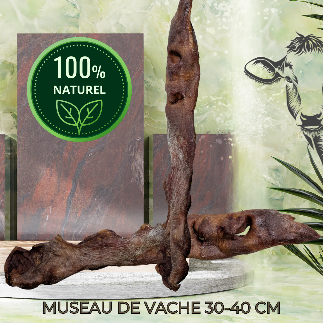 MUSEAU DE VACHE