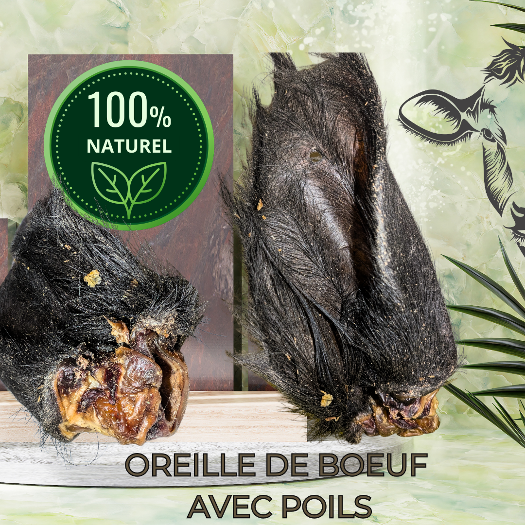LES OREILLES DE BOEUF 