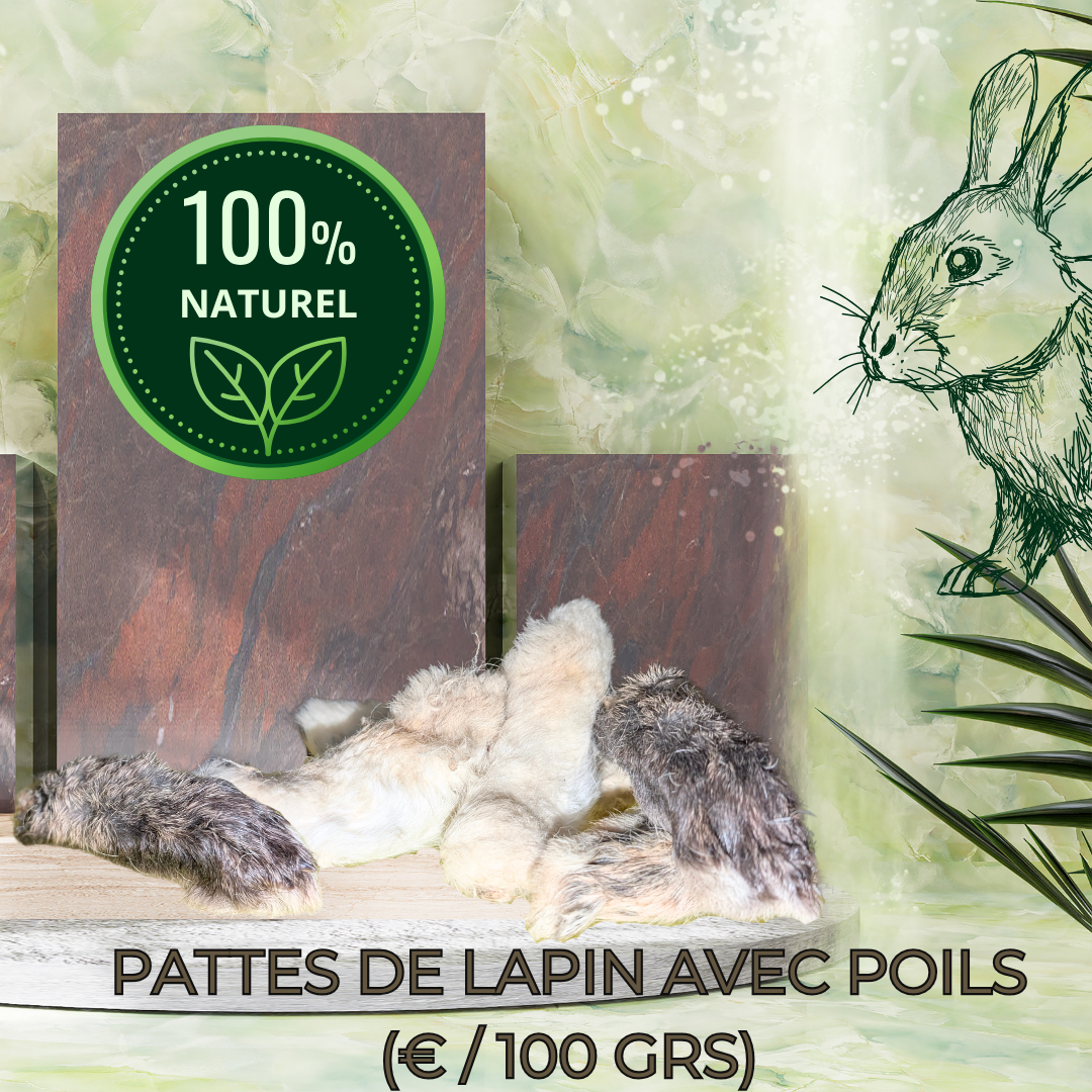 PATTES DE LAPIN AVEC POILS