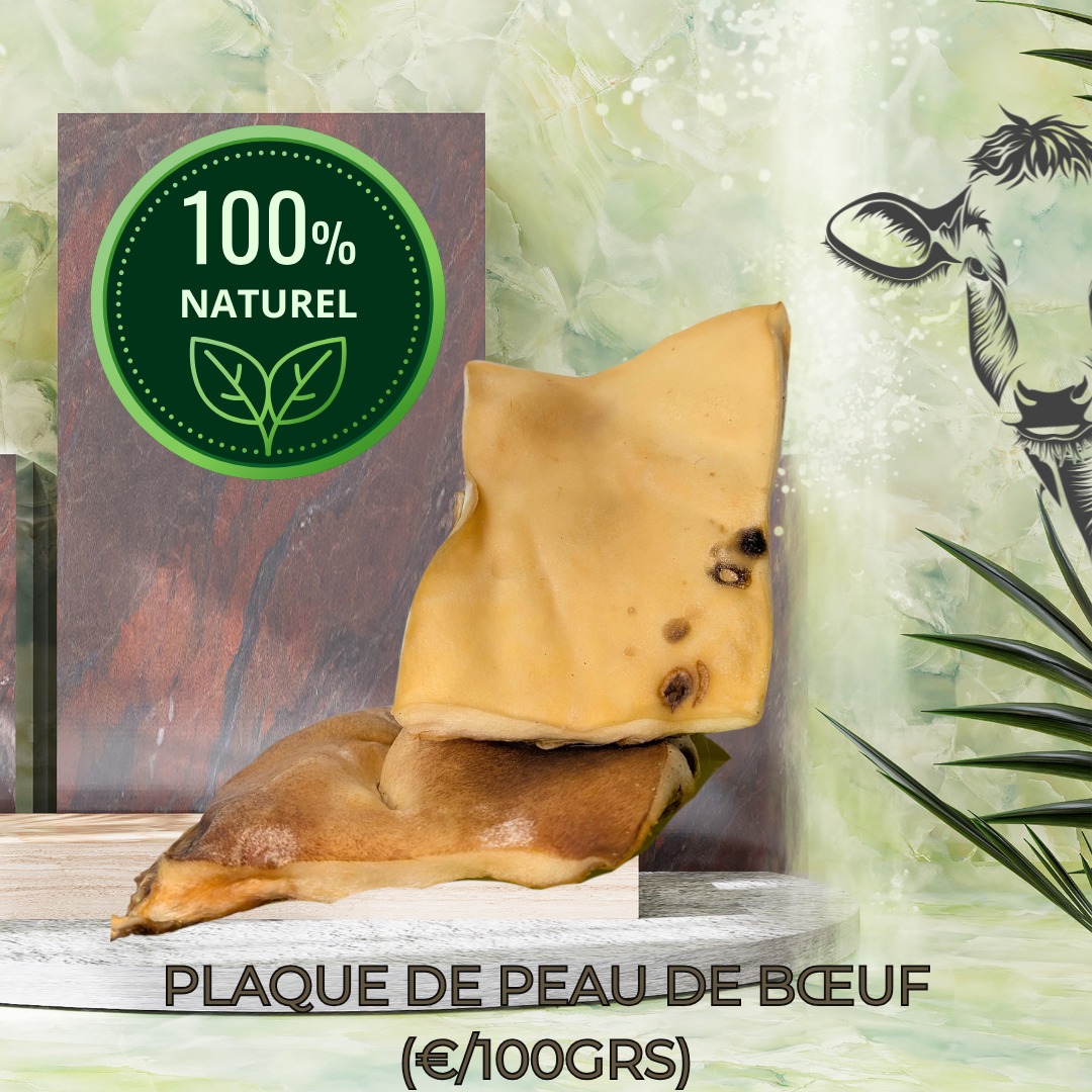 PLAQUE DE PEAU DE BOEUF