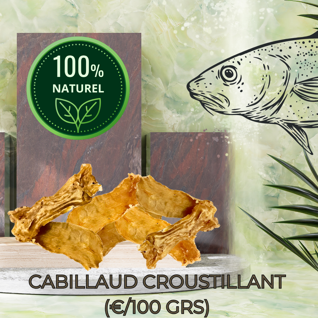FILETS CROUSTILLANTS DE CABILLAUD