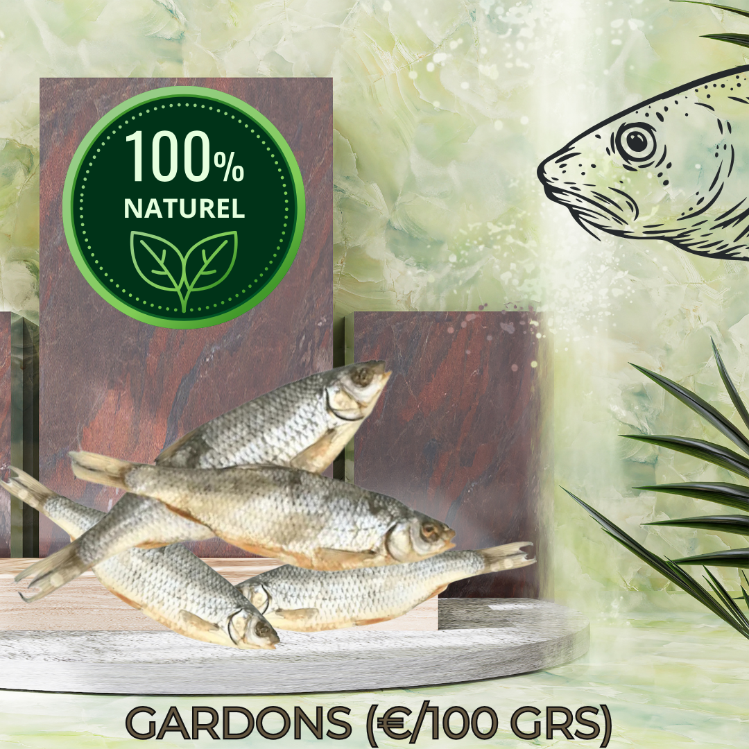 GARDONS