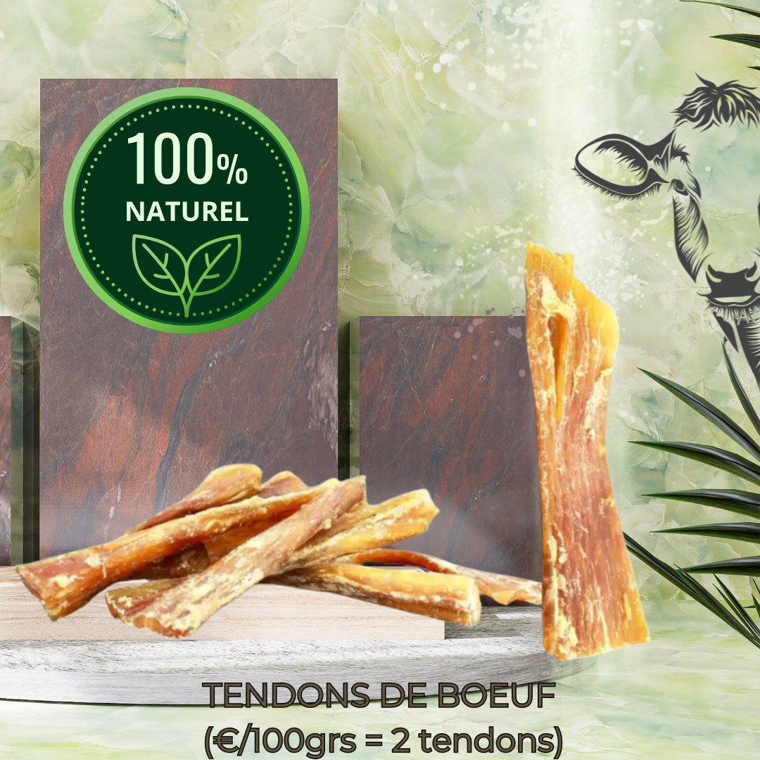 TENDONS DE COU DE BOEUF
