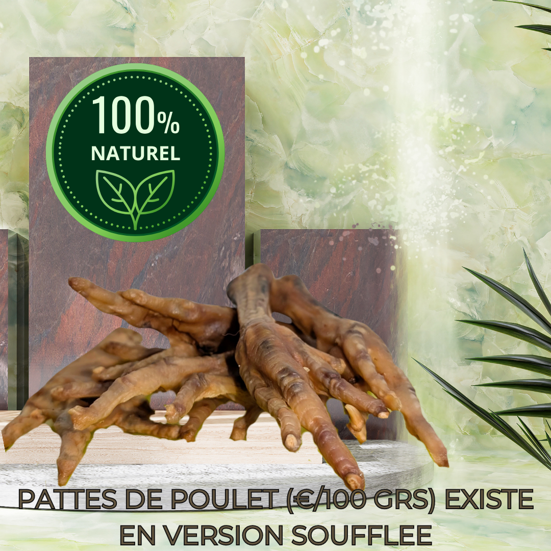 PATTES DE POULET