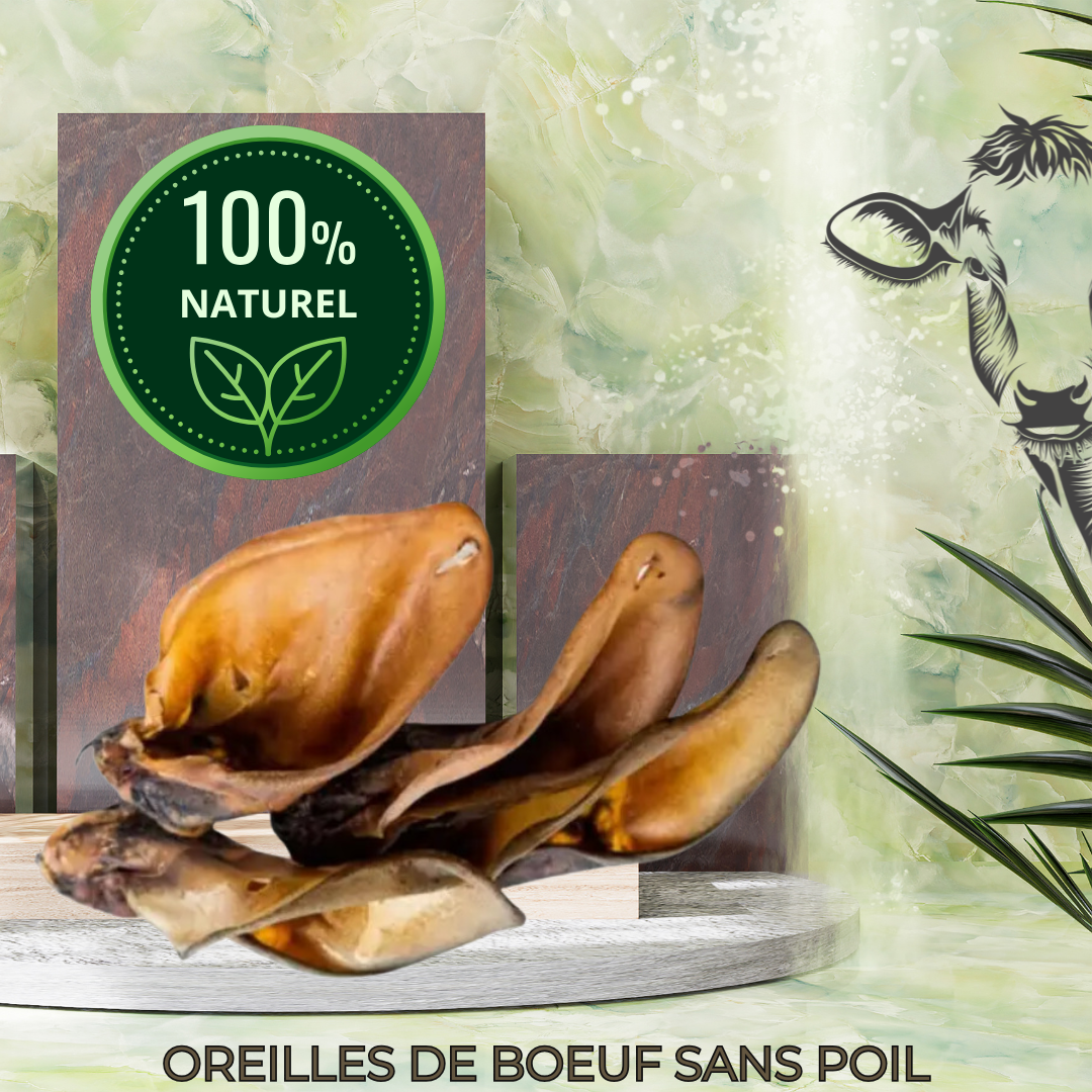 LES OREILLES DE BOEUF 