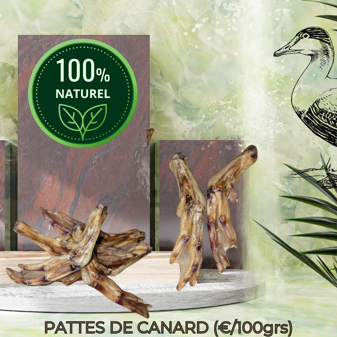 PATTES DE CANARDS