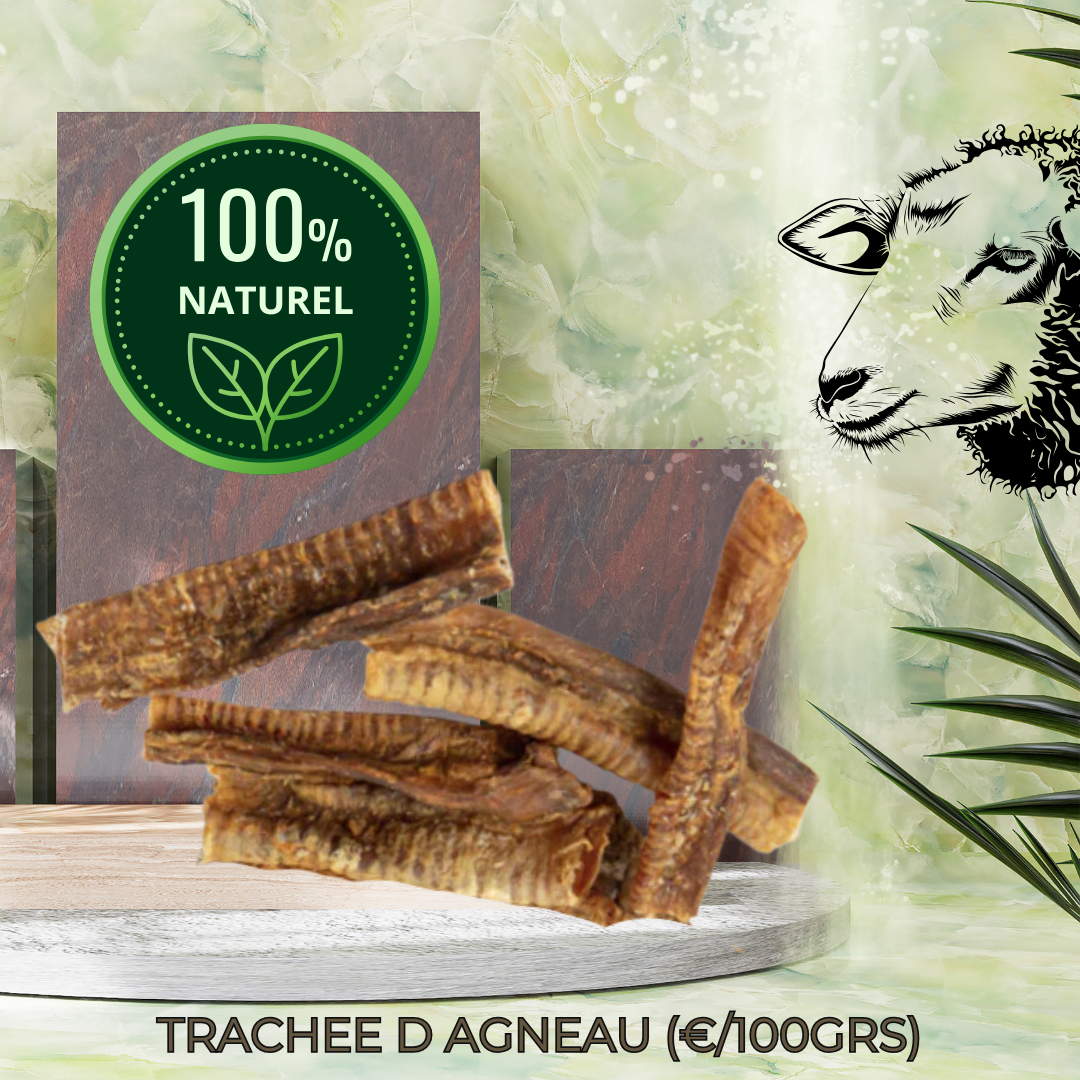 TRACHEE D AGNEAU