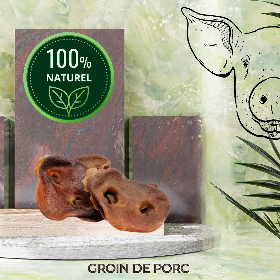GROIN DE PORC