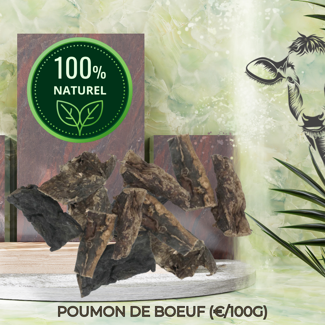 POUMON DE BOEUF