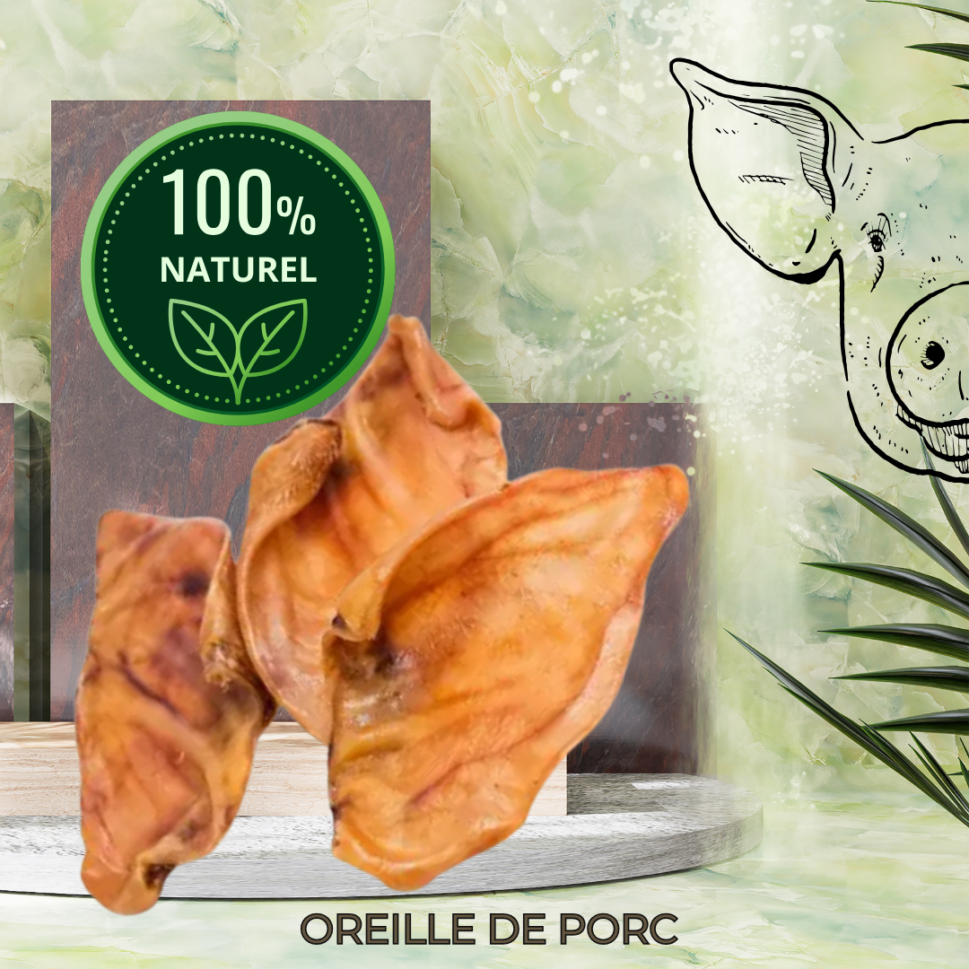 OREILLE DE PORC