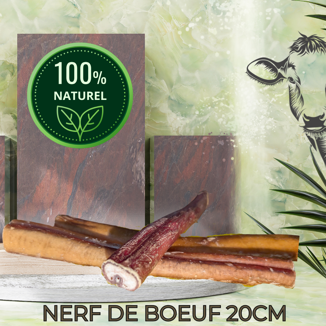 NERF DE BOEUF