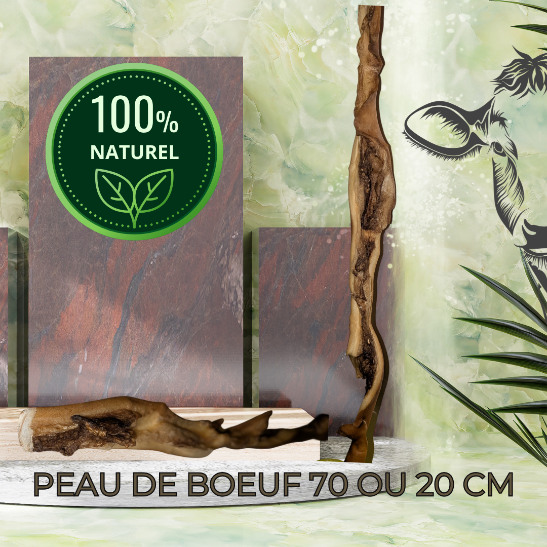STICK DE PEAU DE BOEUF