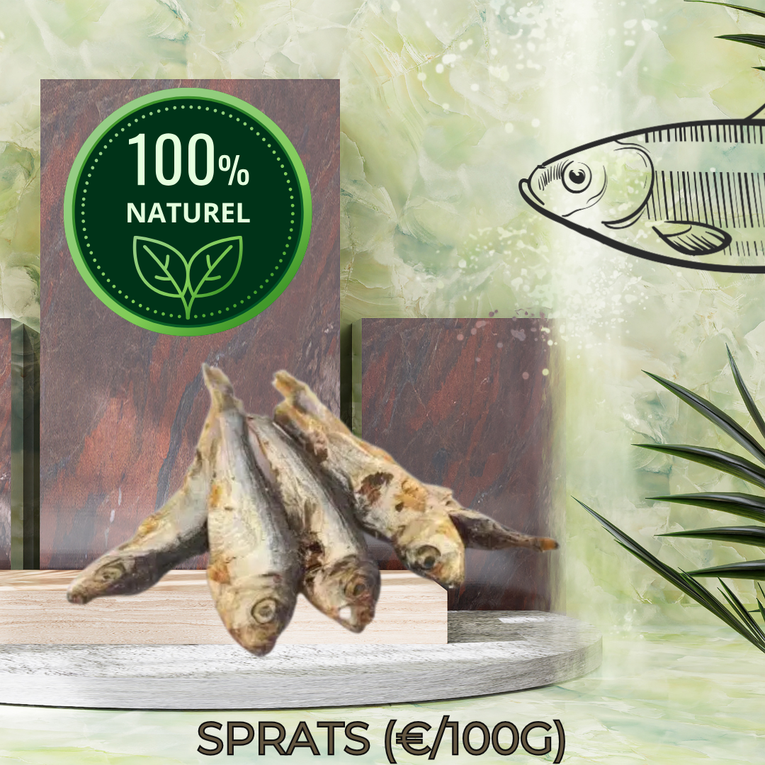 SPRATS OU HARENGS