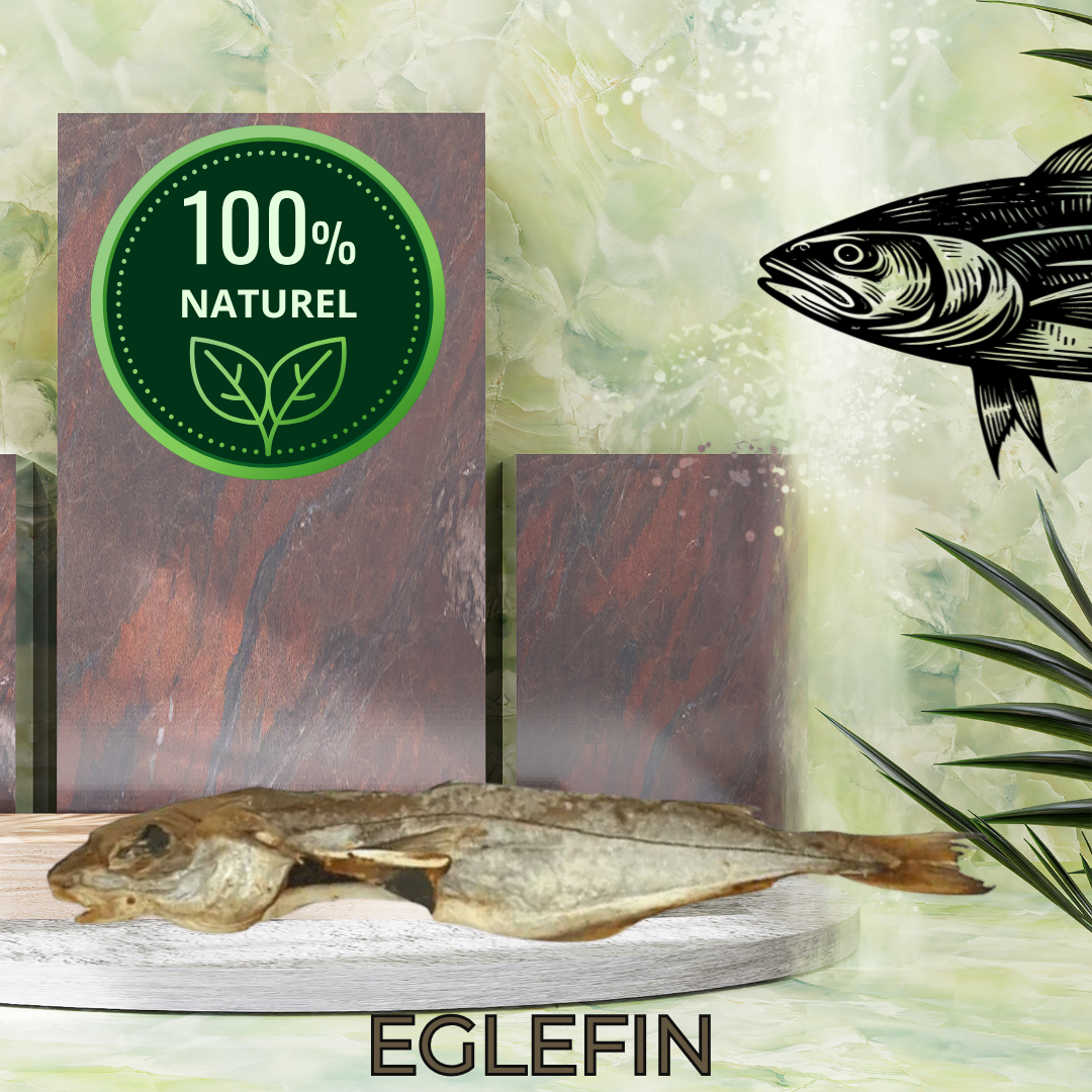 EGLEFIN