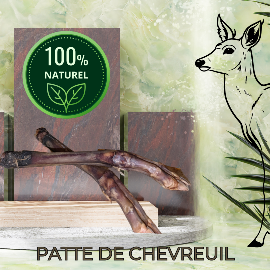Patte de Chevreuil