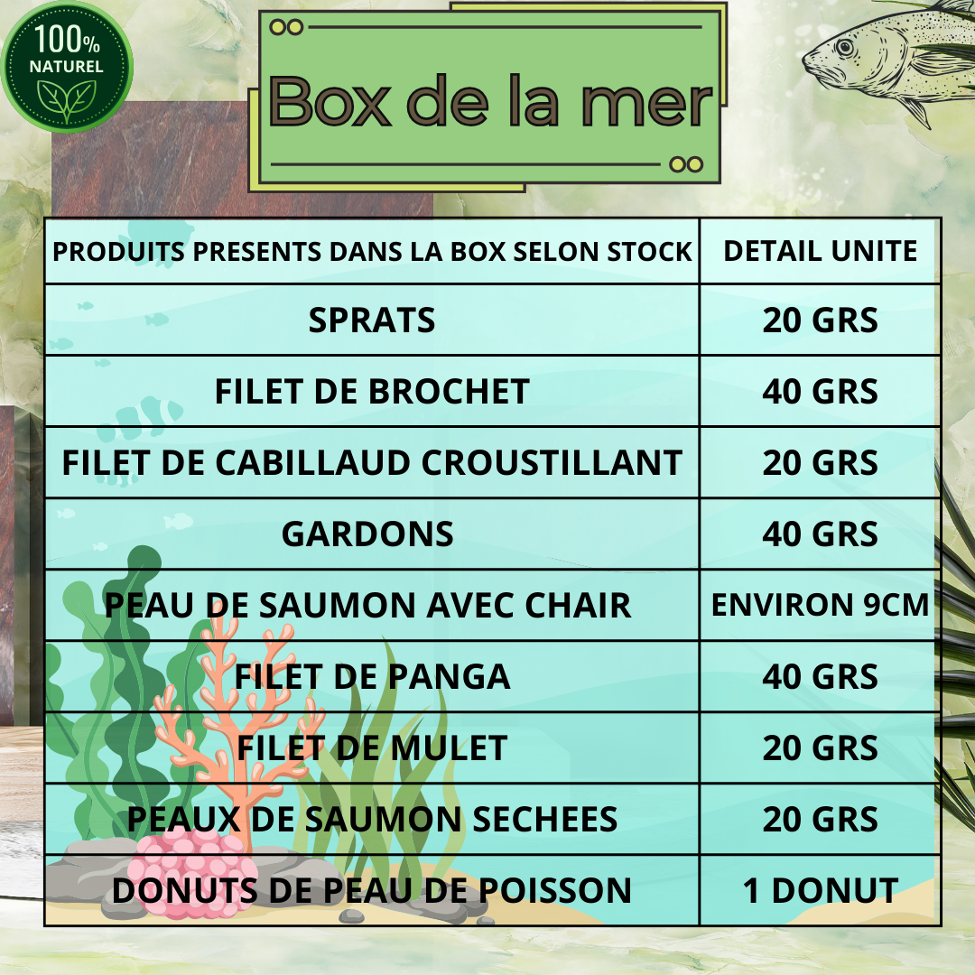 Box decouverte de la mer