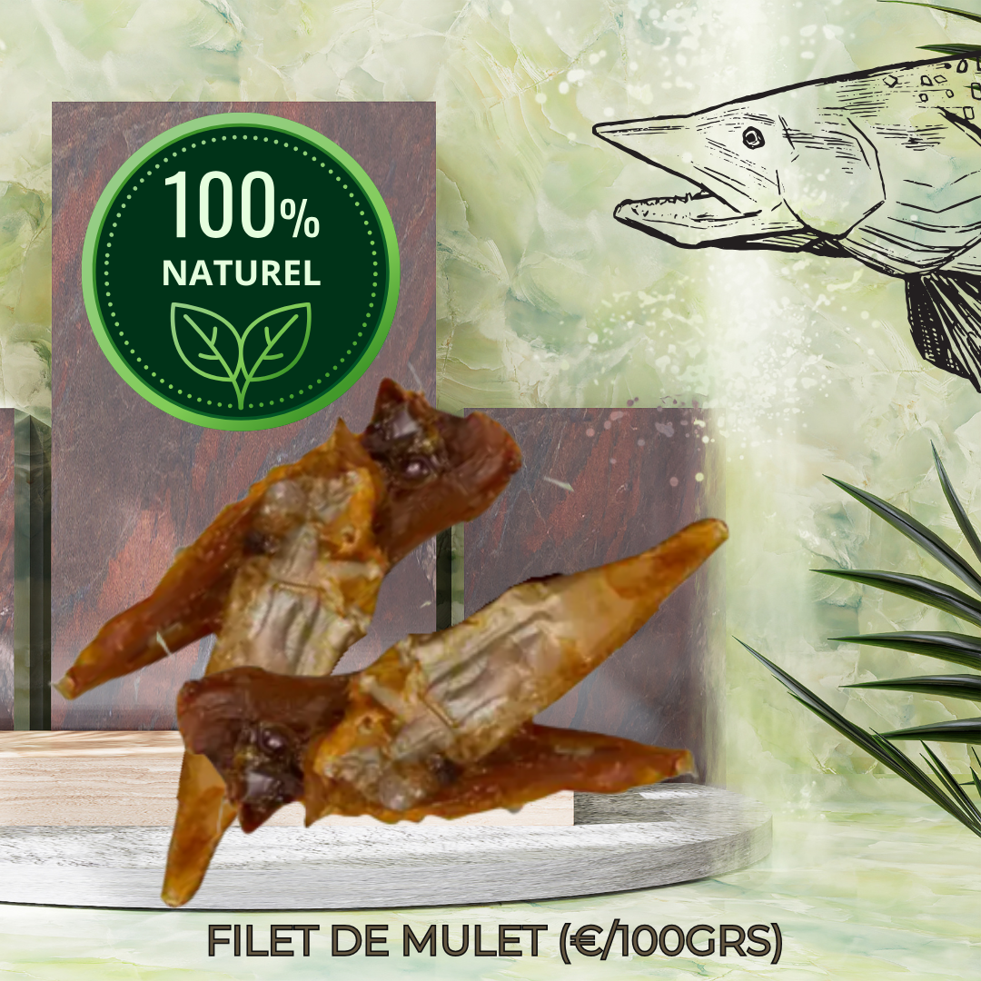 Filet de Mulet