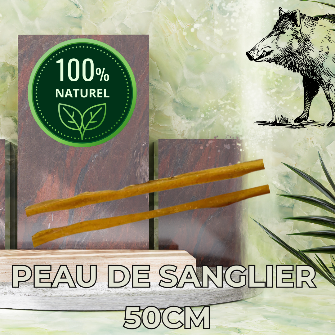 Peau de sanglier 50cm