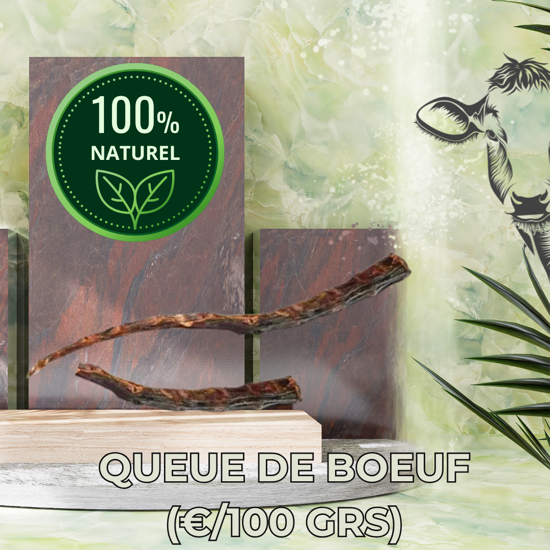 Queue de boeuf (+/- 10 15CM)