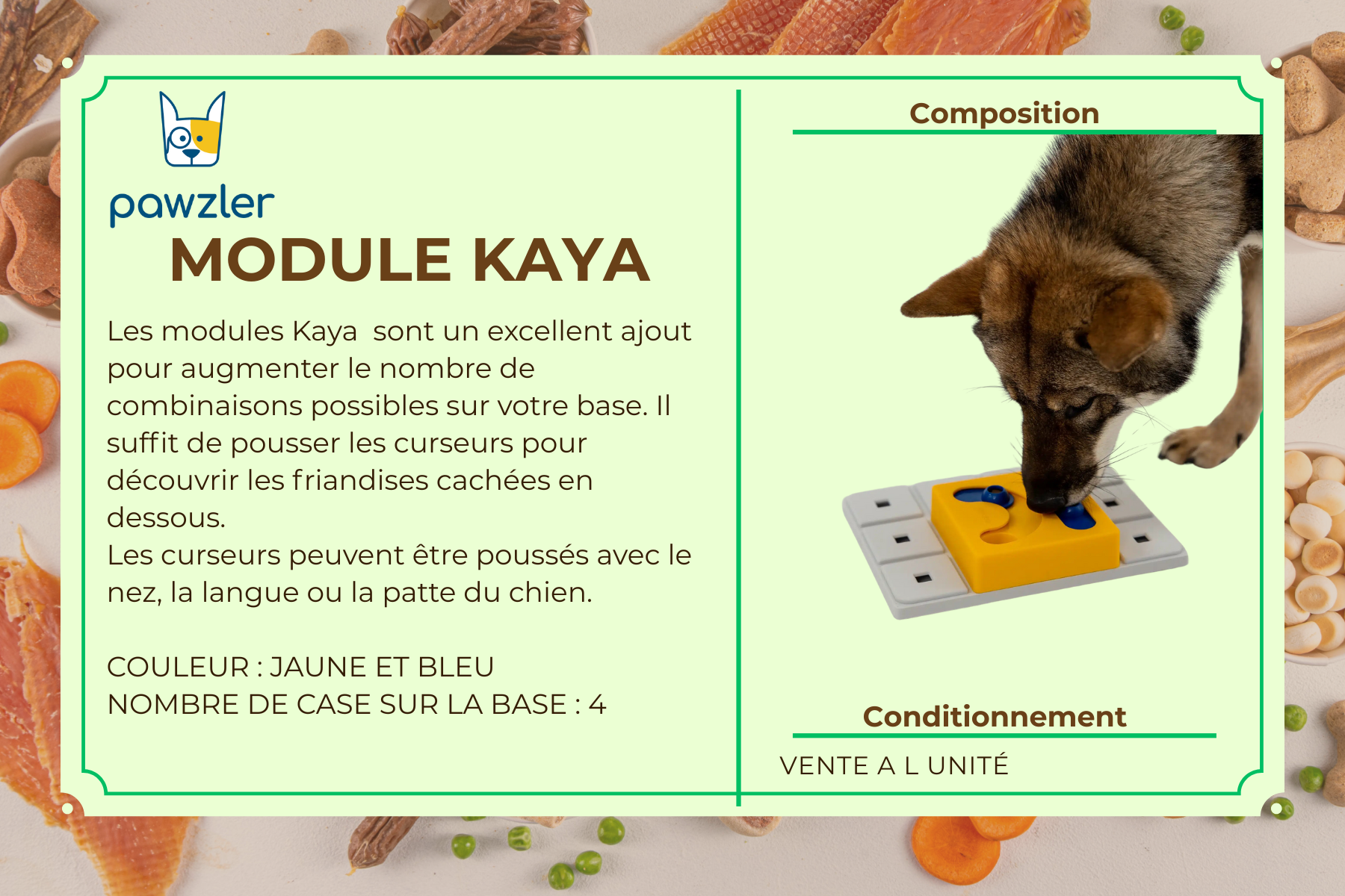MODULE KAYA