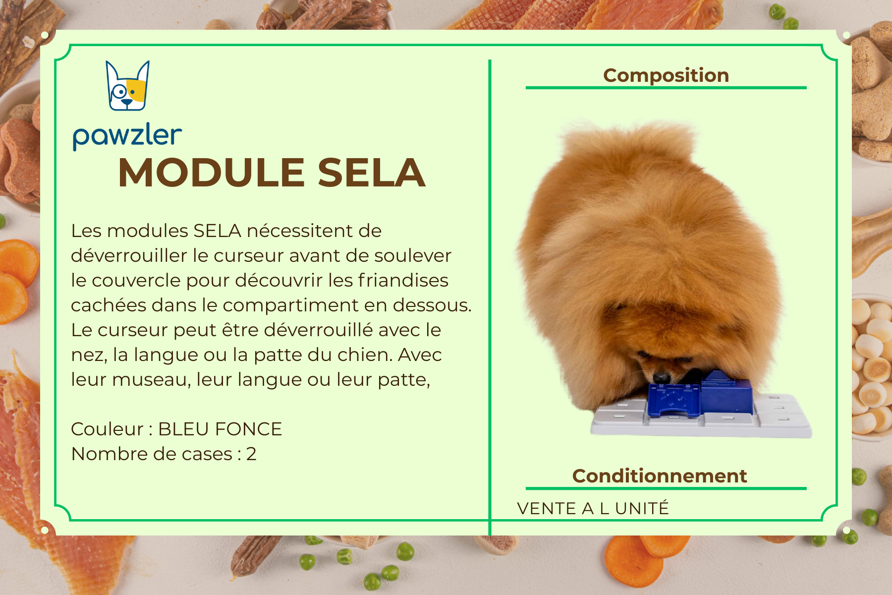 MODULE SELA