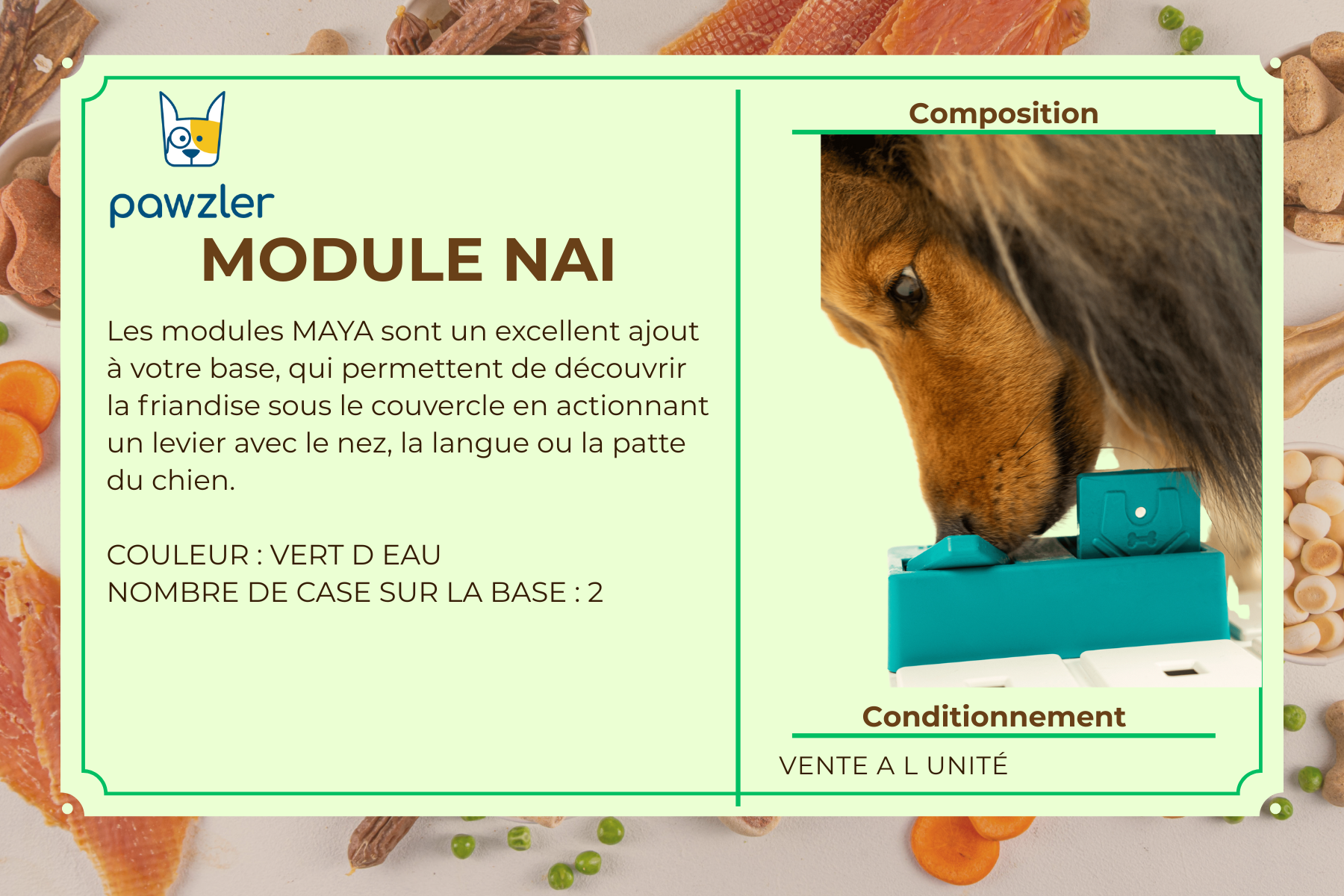 MODULE NAI