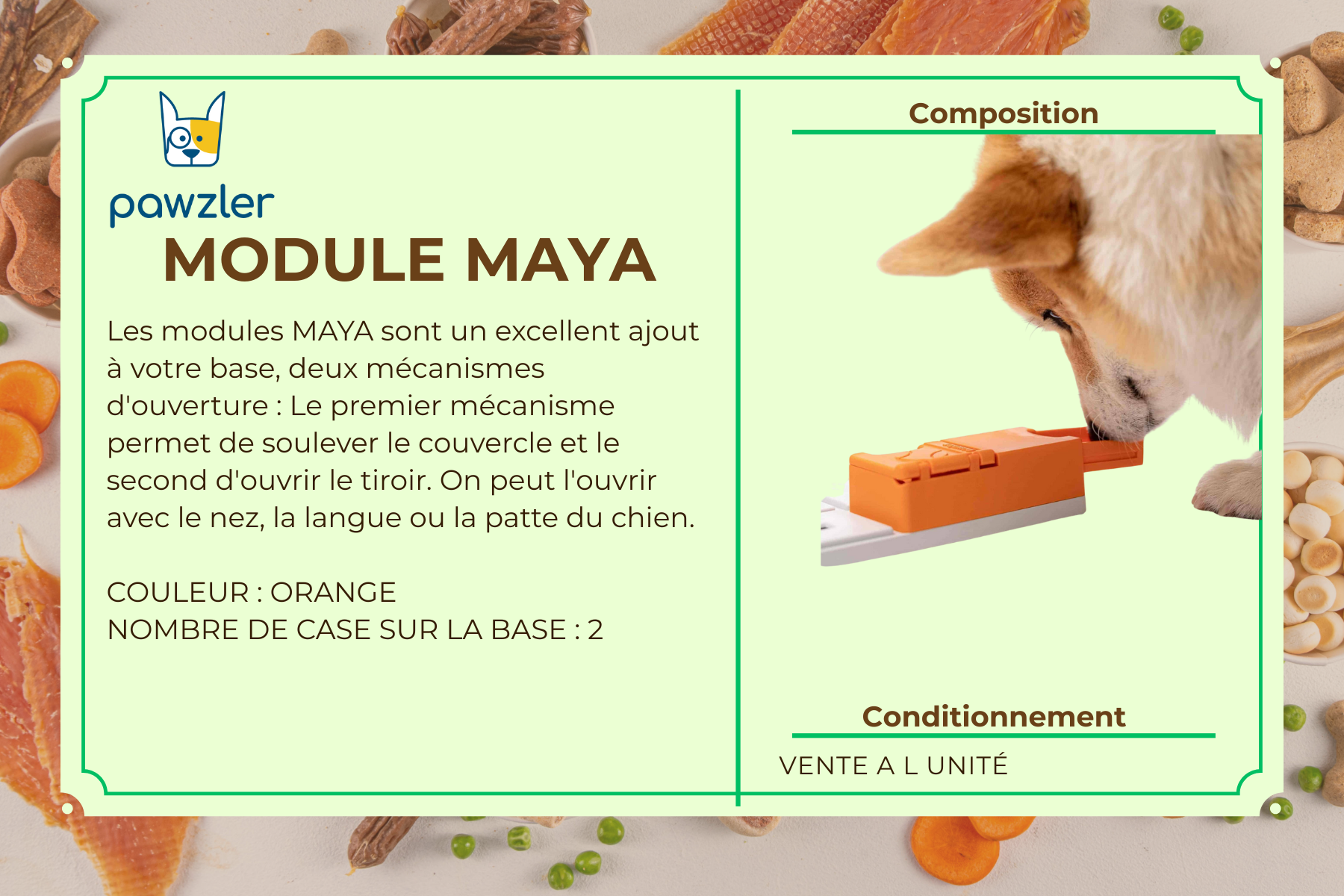 MODULE MAYA