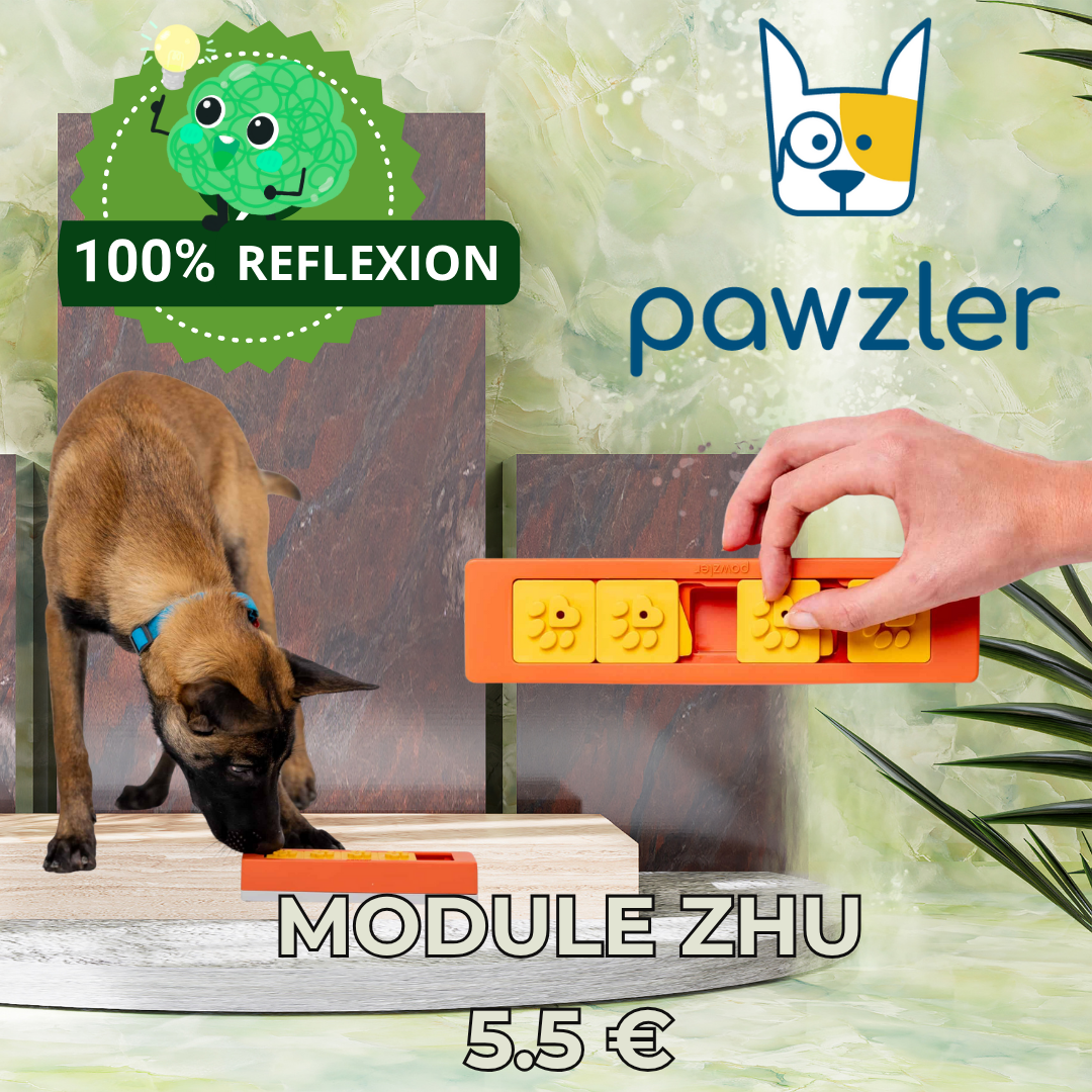 Module Zhu
