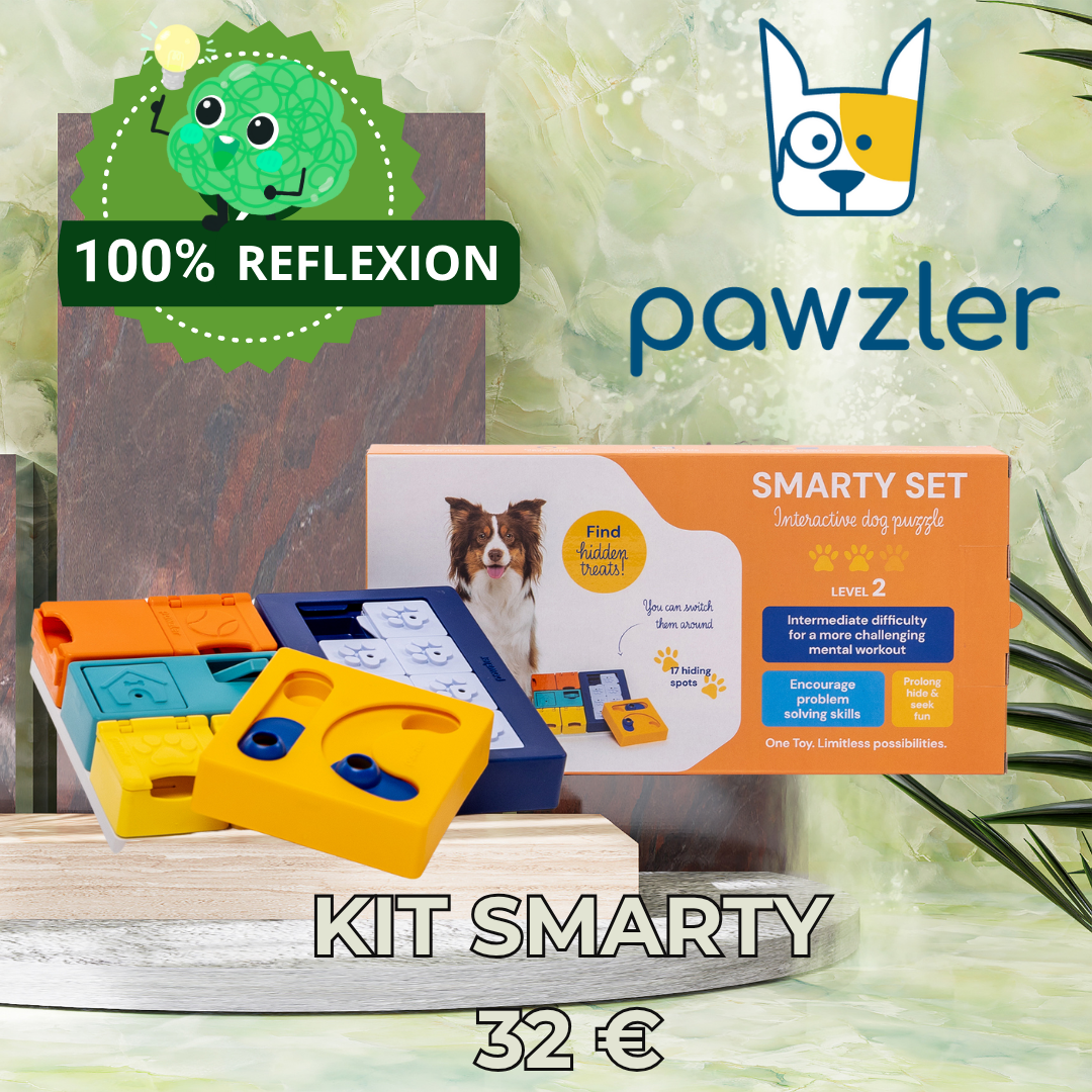 Kit Smarty