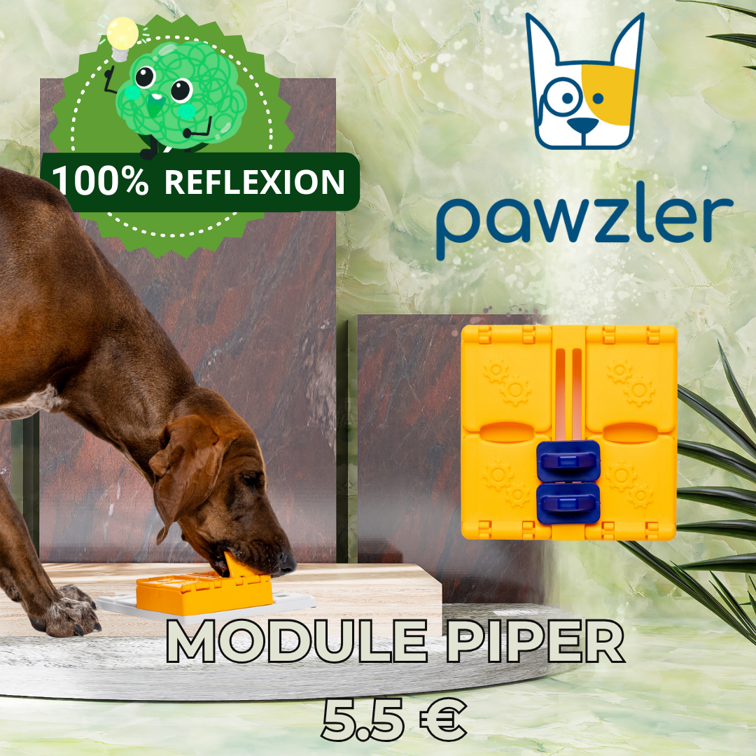 MODULE PIPER