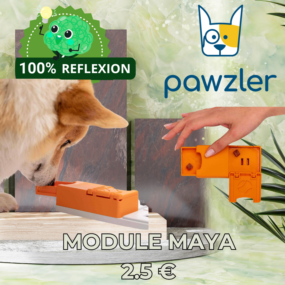 MODULE MAYA