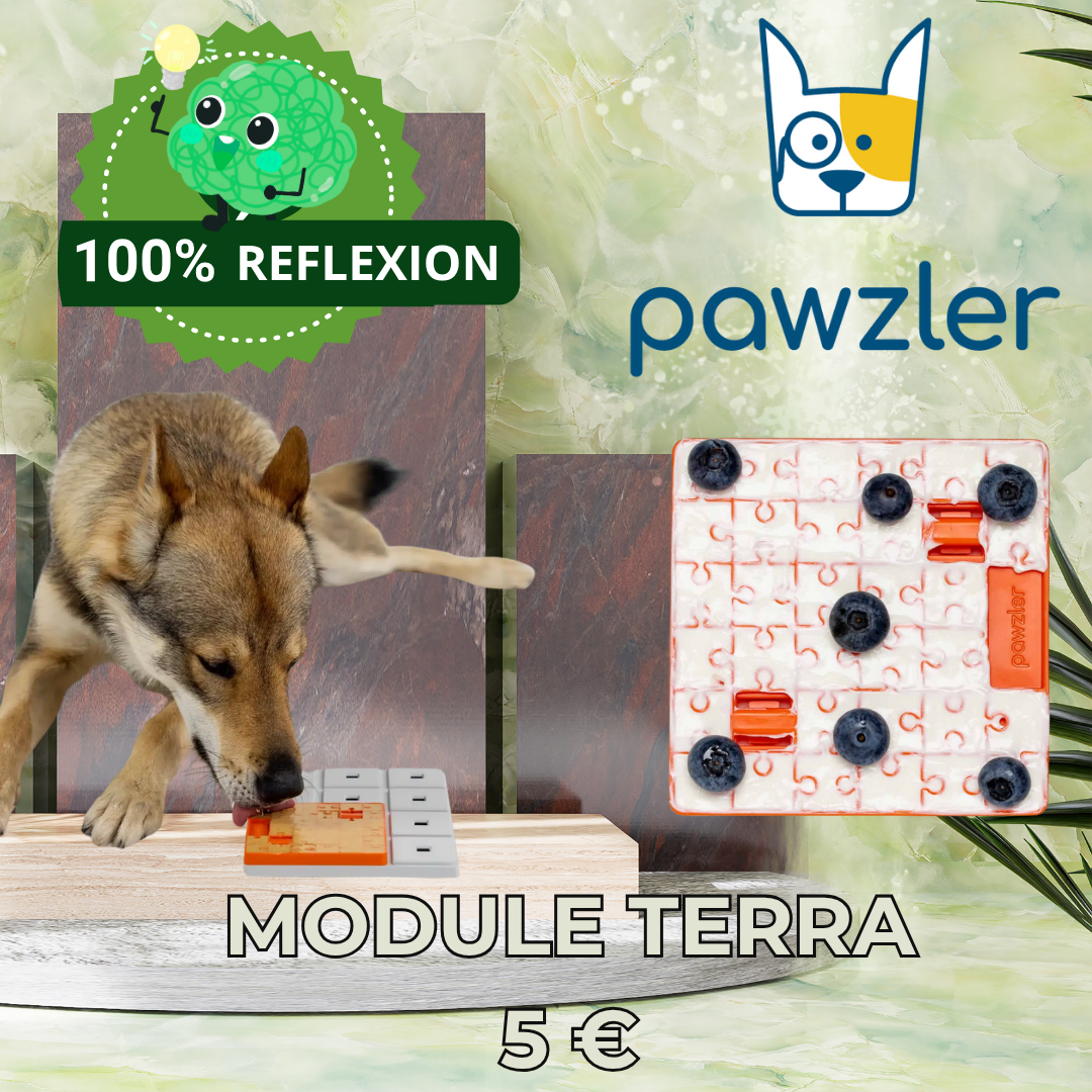 Module Terra