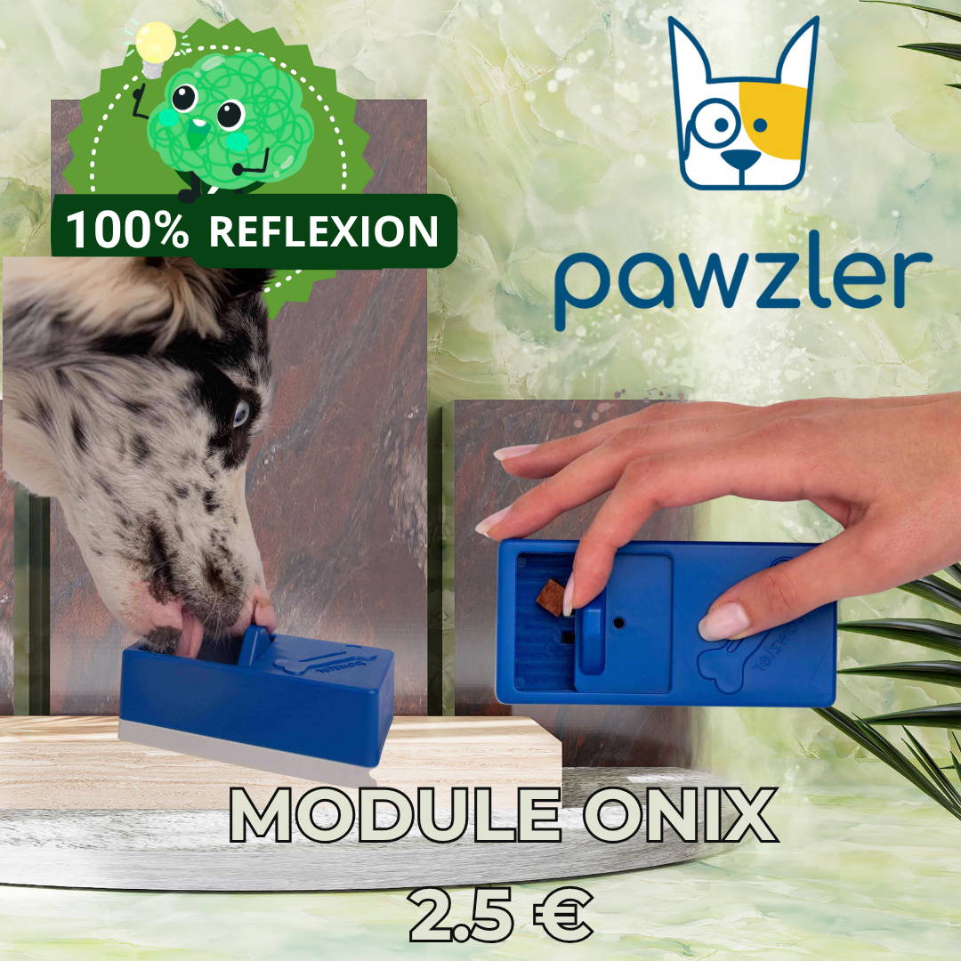 Module Onix